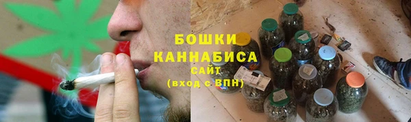 прущие грибы Бородино