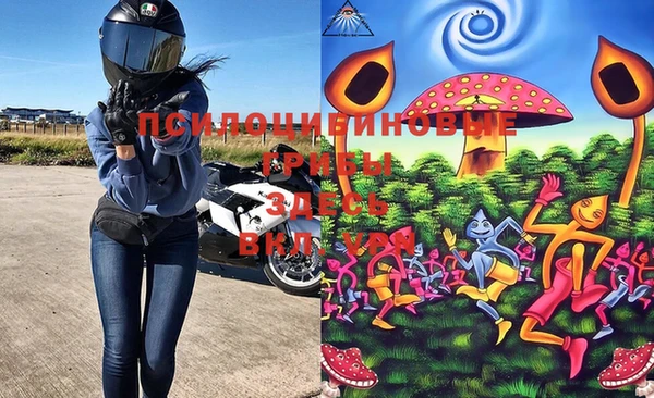 стафф Верхний Тагил