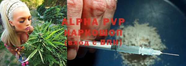 ешки Володарск